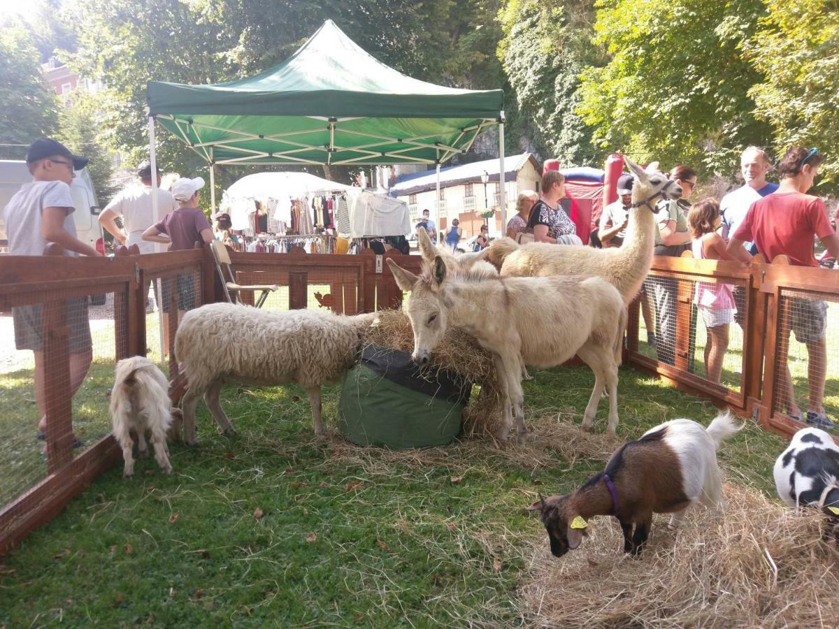 Résidence du Parc avec Sauna Eaux-Bonnes Extérieur photo
